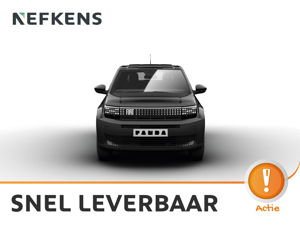 Fiat Grande Panda Icon - Afbeelding 1