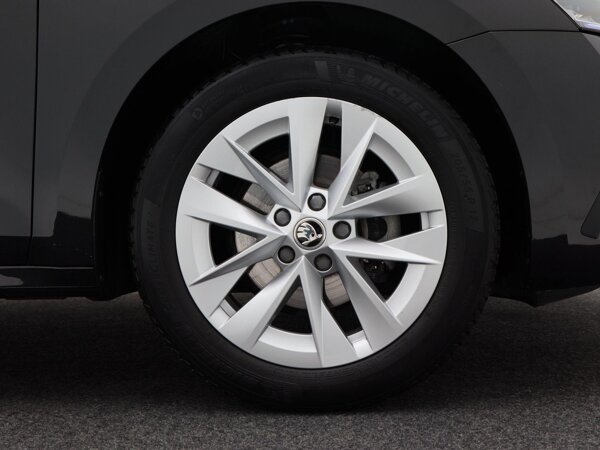 lichtmetalen velgen 17"