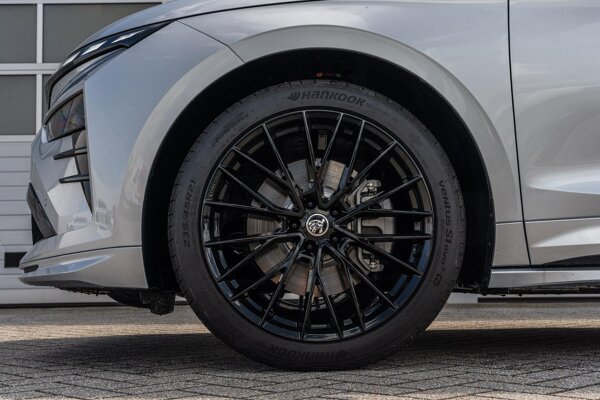 lichtmetalen velgen 21"