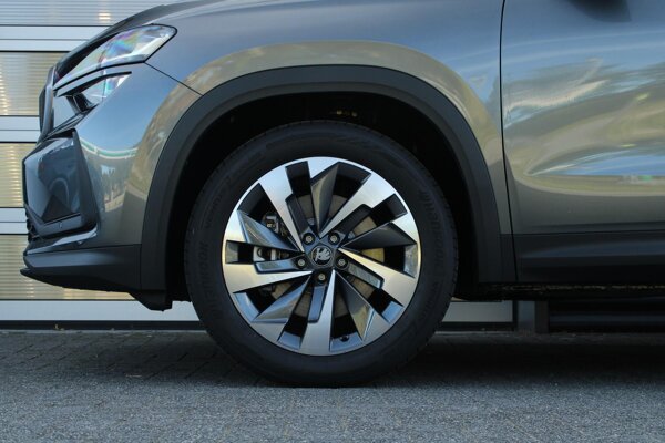 lichtmetalen velgen 19"