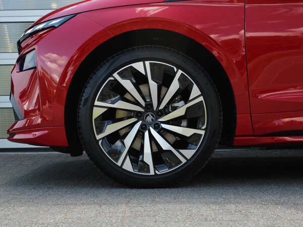 lichtmetalen velgen 21"