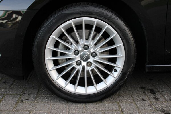 lichtmetalen velgen multi-spaaks 17"