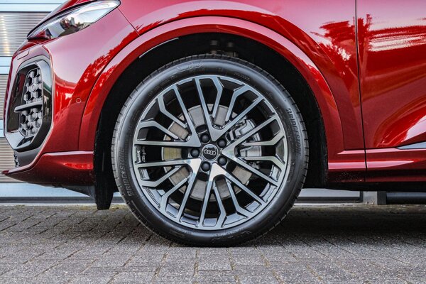 lichtmetalen velgen veel-spaaks 21" lichtmetalen velgen veel-spaaks 21"