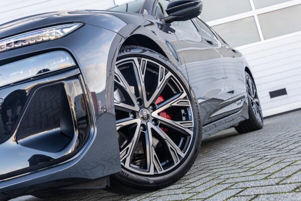 lichtmetalen velgen multi-spaaks 21"