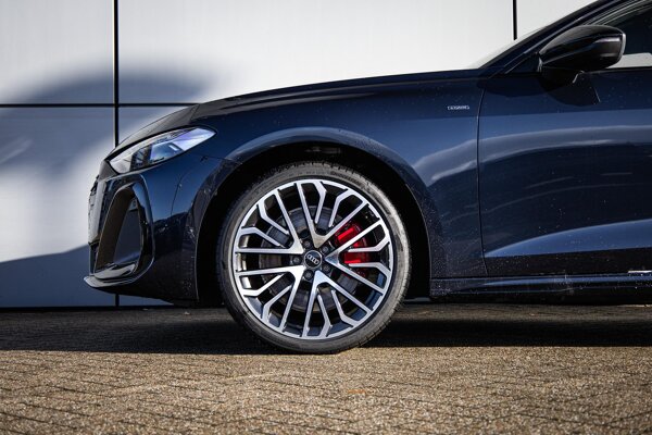 lichtmetalen velgen multi-spaaks 20"