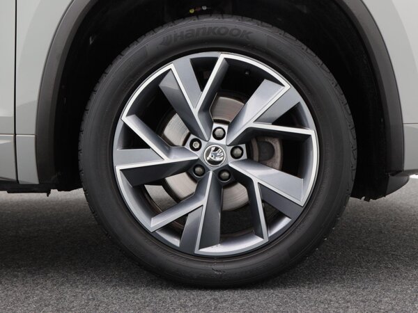 lichtmetalen velgen 5-spaaks 19"