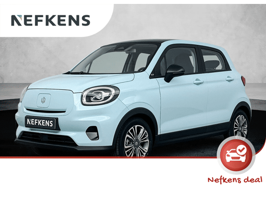 Leapmotor T03 37.3 kWh 95pk Design