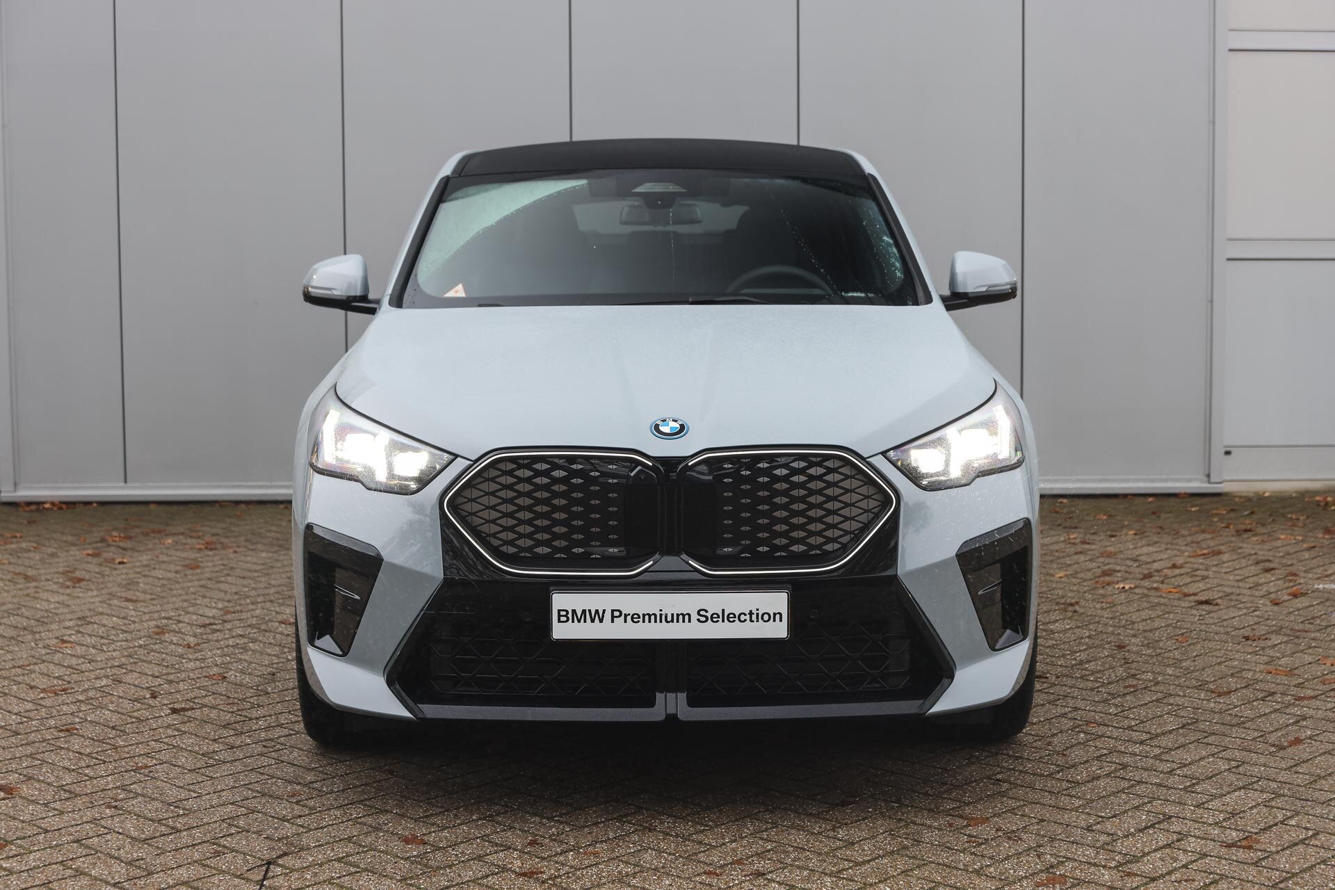 BMW iX2 eDrive20 High Executive M Sport - Afbeelding 5