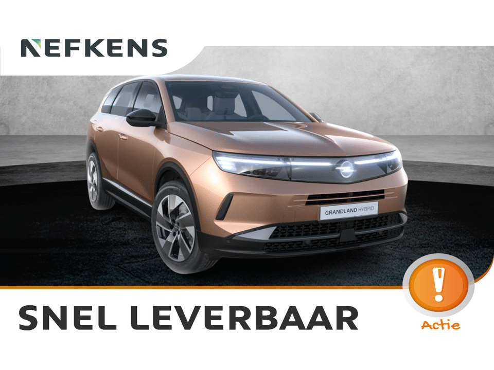 Opel Grandland Business Edition - Afbeelding 1