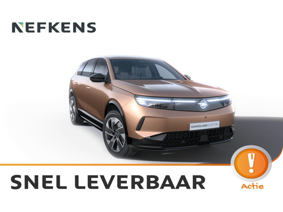 Opel Grandland Business Edition - Electric - Afbeelding 1