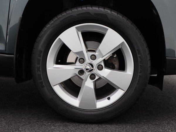 lichtmetalen velgen 17"