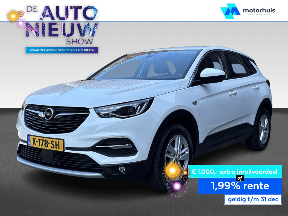 Opel Grandland X 1.2 TURBO 130PK BUSINESS ELEGANCE NAVI PDC TEL FULL LED CAMERA NAP - Afbeelding 1