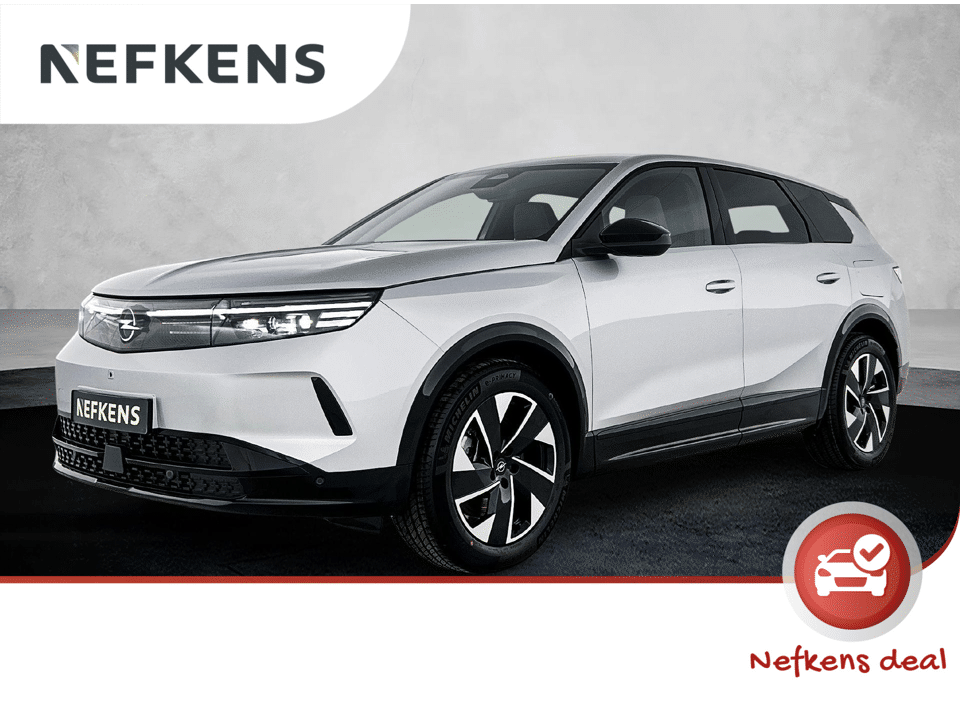 Opel Grandland Electric Business Edition 73 kWh 213pk Automaat - Afbeelding 1