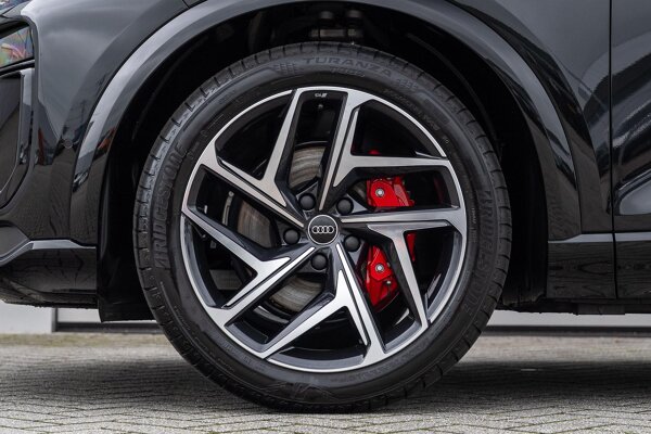 lichtmetalen velgen 6-spaaks 21" lichtmetalen velgen 6-spaaks 21"