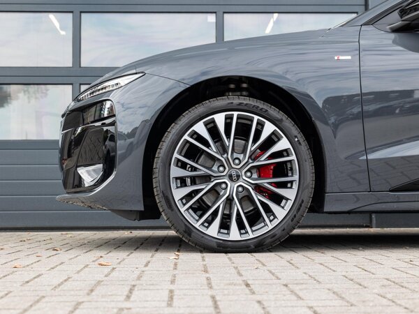 lichtmetalen velgen 21"