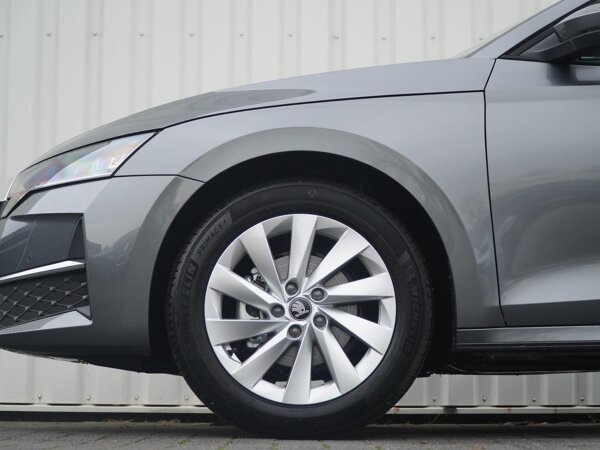 lichtmetalen velgen 17"