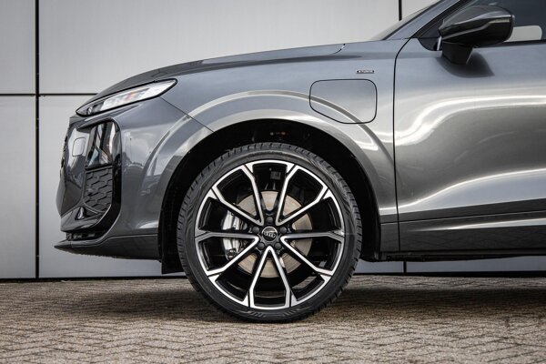 lichtmetalen velgen 21"