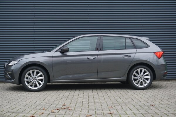 lichtmetalen velgen 10-spaaks 17"