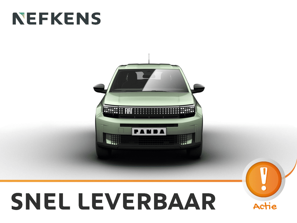 Fiat Grande Panda Icon - Afbeelding 1