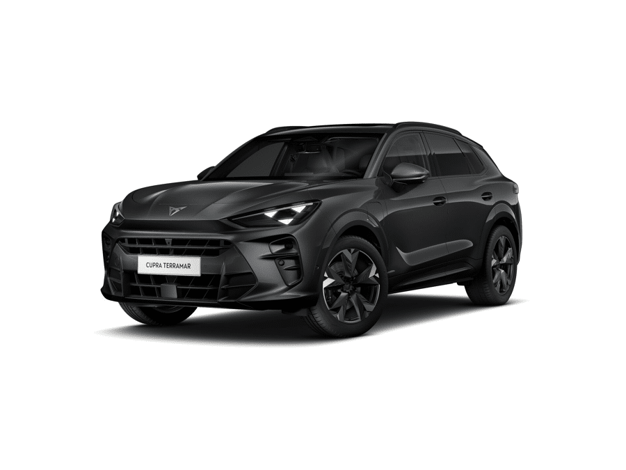 CUPRA Terramar Business - Afbeelding 1