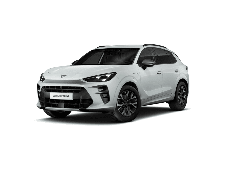 CUPRA Terramar Business - Afbeelding 1