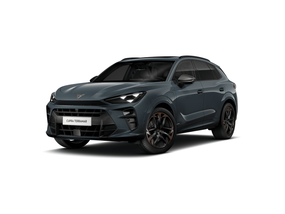 CUPRA Terramar Business - Afbeelding 1