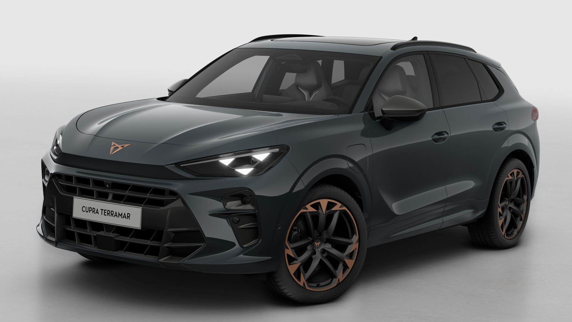 CUPRA Terramar Business - Afbeelding 2