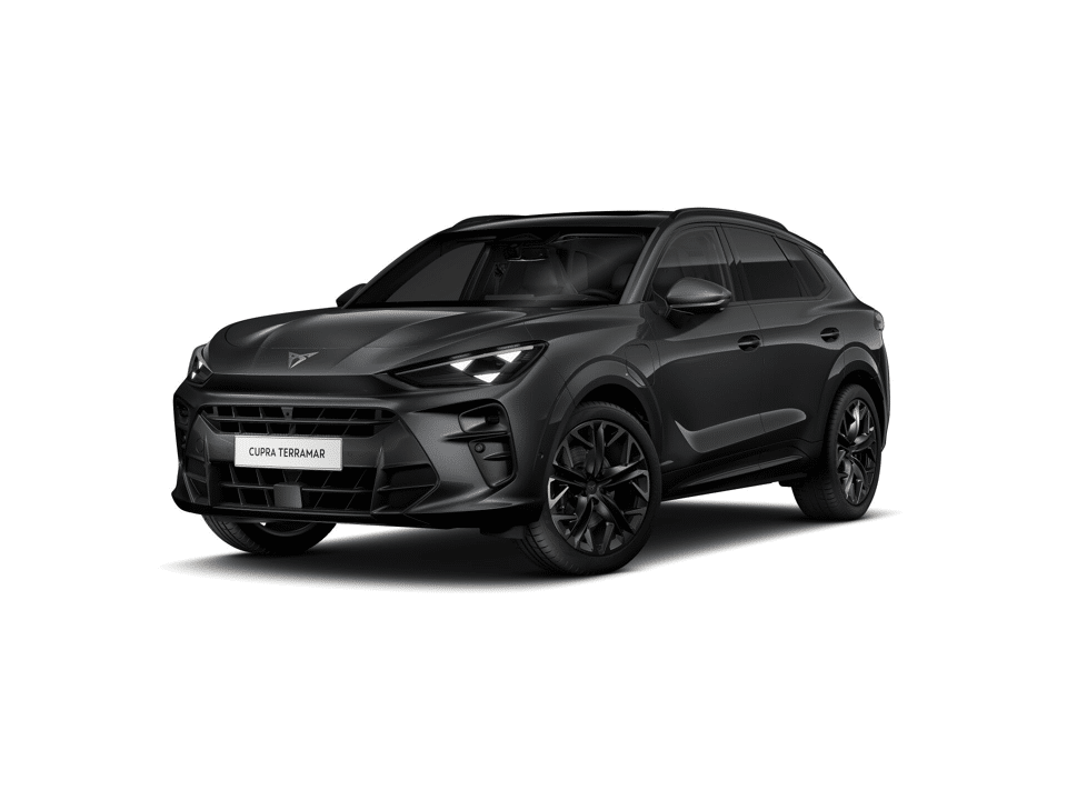 CUPRA Terramar Business - Afbeelding 1