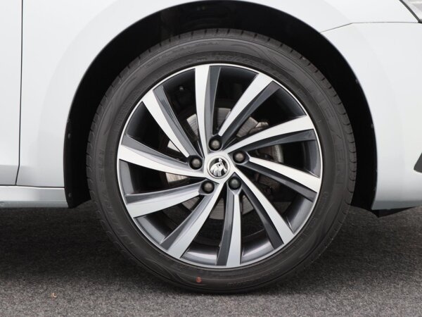 lichtmetalen velgen multi-spaaks 18"