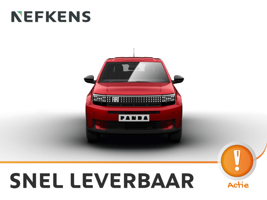 Fiat Grande Panda Icon