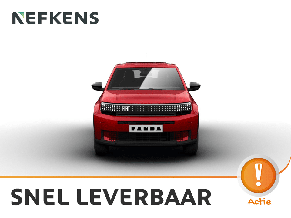 Fiat Grande Panda Icon - Afbeelding 1