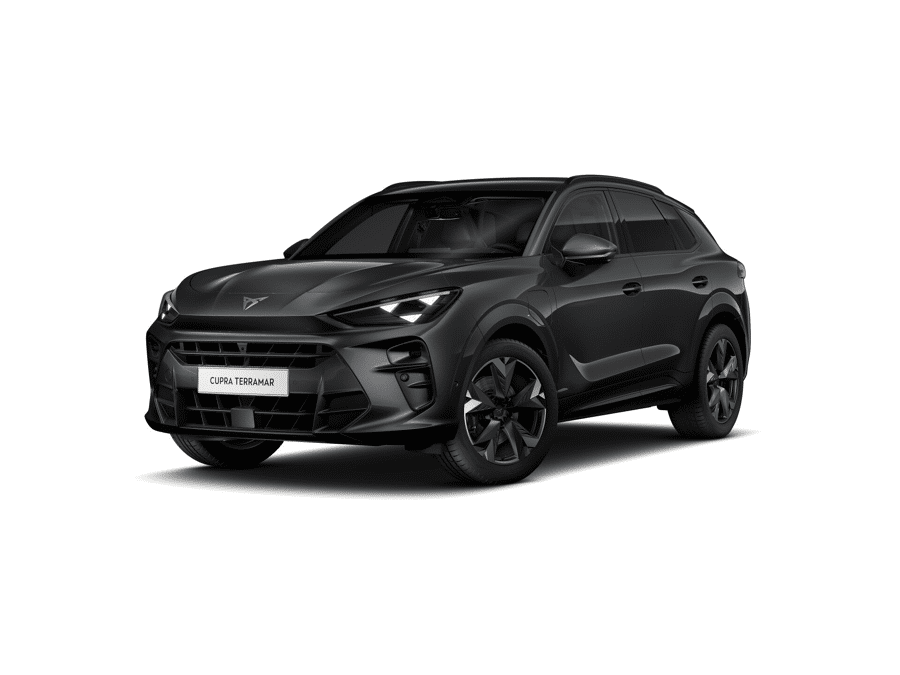 CUPRA Terramar Business - Afbeelding 1