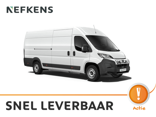 Fiat Ducato Professional Standaard - Elektrisch