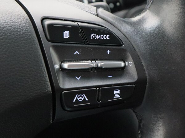 cruise control adaptief met Stop&Go