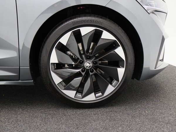 lichtmetalen velgen 21"