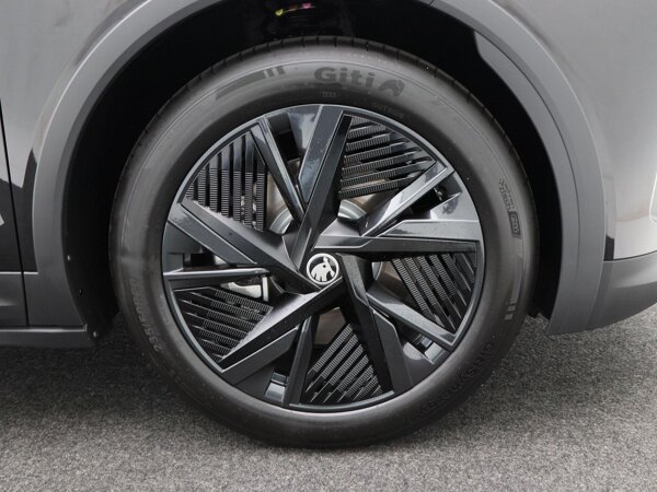 lichtmetalen velgen 6-spaaks 20" lichtmetalen velgen 6-spaaks 20"