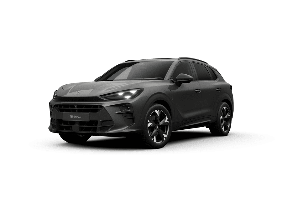 CUPRA Terramar Business - Afbeelding 1