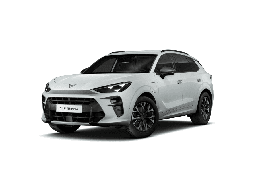 CUPRA Terramar Business - Afbeelding 1