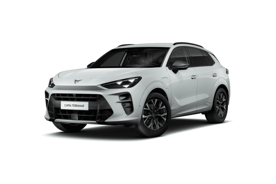 CUPRA Terramar Business - Afbeelding 1