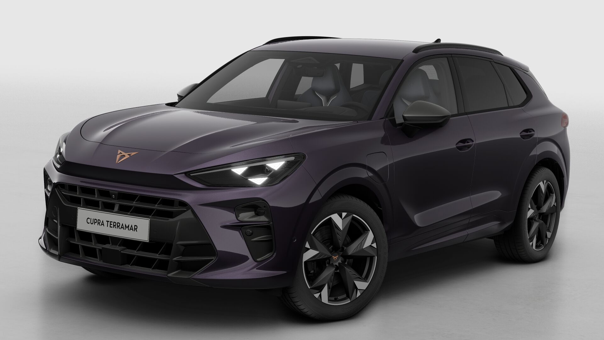 CUPRA Terramar Business - Afbeelding 2