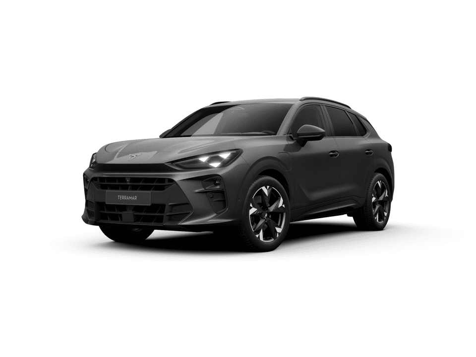 CUPRA Terramar Business - Afbeelding 1