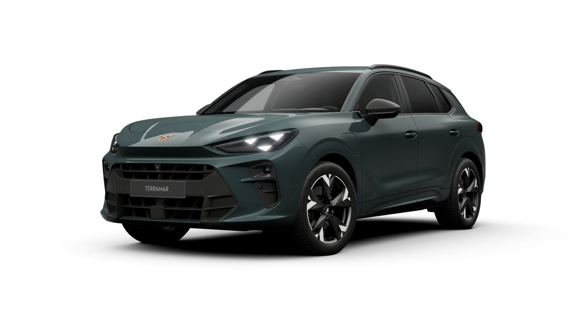 CUPRA Terramar Business - Afbeelding 1