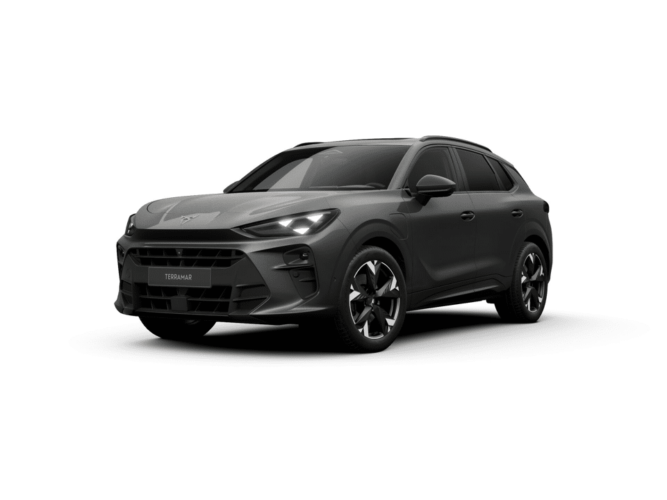 CUPRA Terramar Business - Afbeelding 1