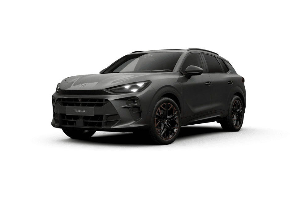 CUPRA Terramar Business - Afbeelding 1