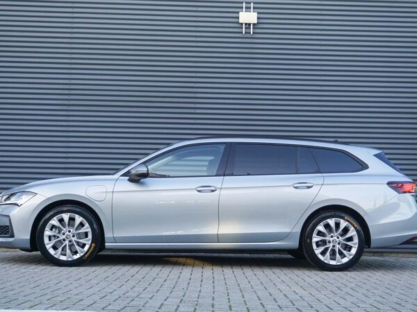 lichtmetalen velgen 17"