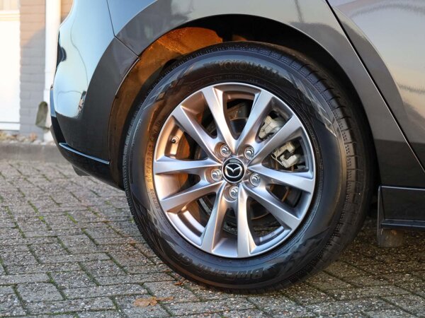 lichtmetalen velgen 16"