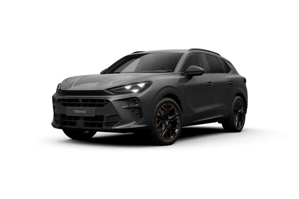 CUPRA Terramar Business - Afbeelding 1