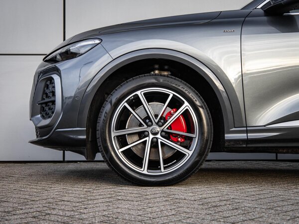 lichtmetalen velgen 10-spaaks 19"