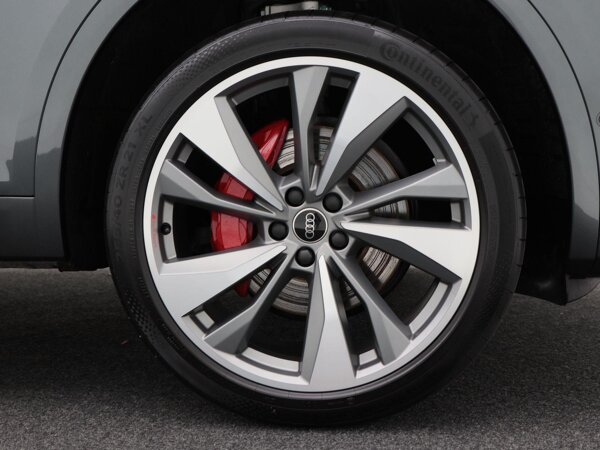 lichtmetalen velgen 10-spaaks 21" lichtmetalen velgen 10-spaaks 21"