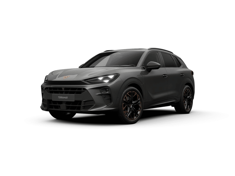CUPRA Terramar Business - Afbeelding 1